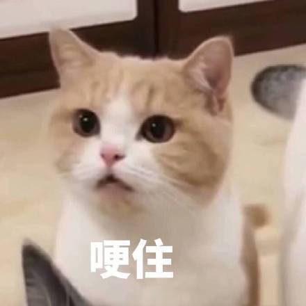 碰巧最近看完03版天龙八部，感触颇深的一点就是：别执念太深，容易伤人伤己。萧远山