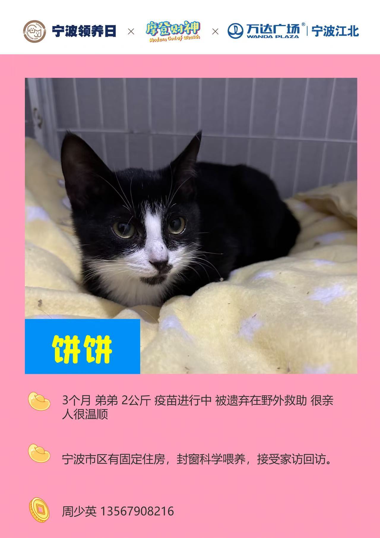 宁波领养日微领养本周温暖来袭 本周日！💰💰♥️11月30日下午13:00-1