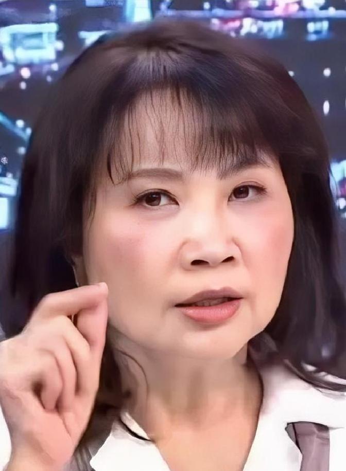 台湾省主持人陈凤鑫最近被赵少康邀请上节目，面对赵少康毫无依据便将岛内选举相关的网
