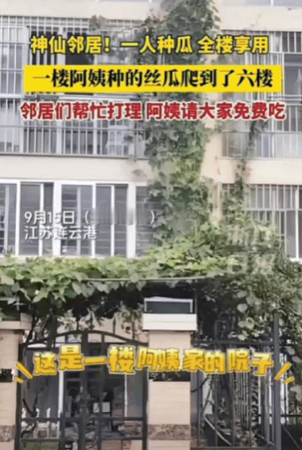 这下出名了，不仅邻居知道了，全国人民都知道了！
江苏连云港一楼的张阿姨，退休在家