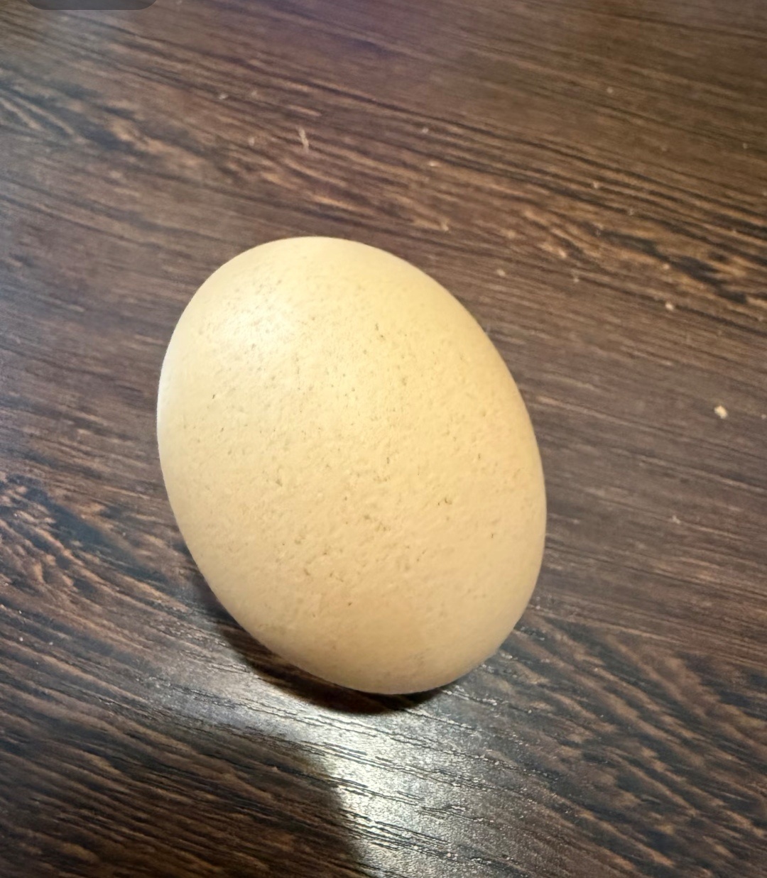 从去年羽绒服兜里掏出了一枚鸡蛋 