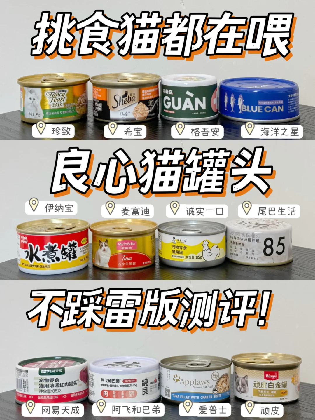 挑食猫咪都在喂什么猫罐头｜不踩雷版测评