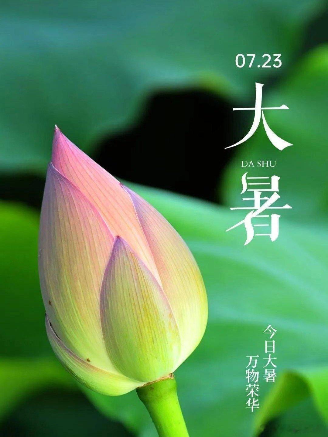 夏季最后一个节气来了今日凌晨3时12分48秒，我们迎来大暑，作为夏季第十二个节气