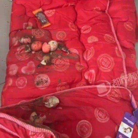 谁能想到，结婚时妈妈悄悄缝进喜被里的红鸡蛋，能在十年之后才被翻出来。这位广东的姑