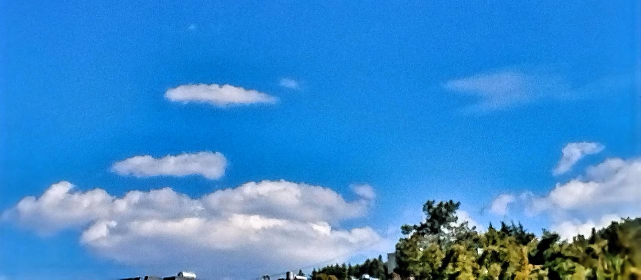 蓝天白云，绿树成荫，享受大自然的宁静与美好。🌞🌳🍃蓝天白云之下，阳光穿过树