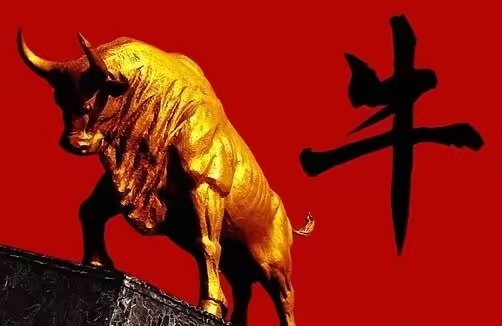 深夜打卡，经过菲菲深度复盘，明天的牛股已经选出来了，想要的朋友点赞满100个，评