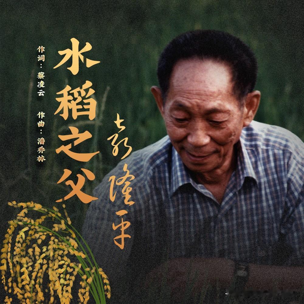 秧苗被拔光那夜，袁隆平蹲在田埂上捡了一宿碎叶子。

1968年5月18日夜，70