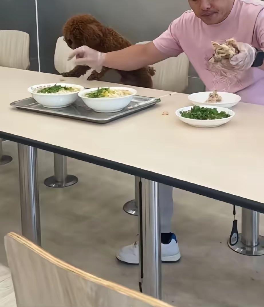 都说现在治安好，我看未必。现在出门，经常冷不丁从旁边窜出一条狗，怪吓人的。爱狗人