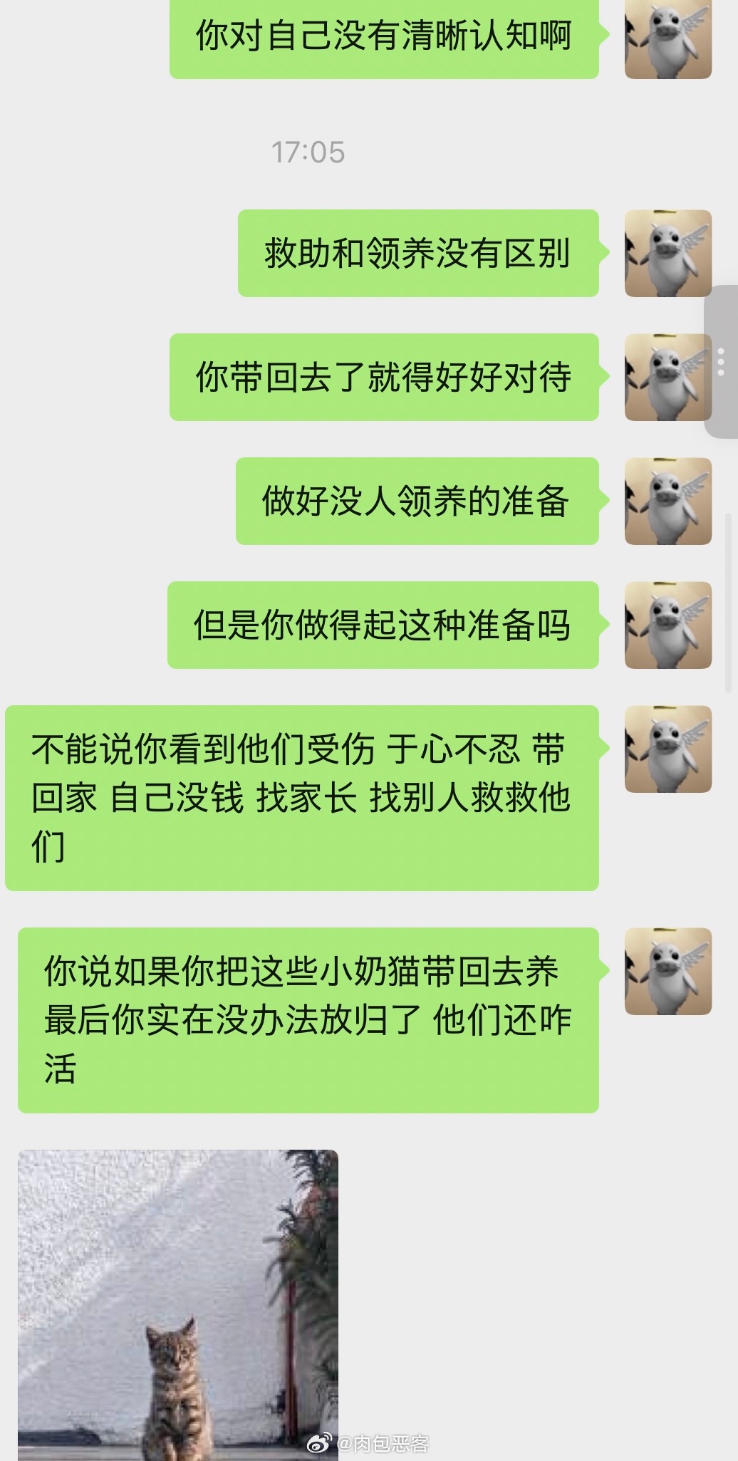 有个人给我🍠发消息，说自己是高三刚高考完的学生，救助了八只小猫，家里人虽然帮忙