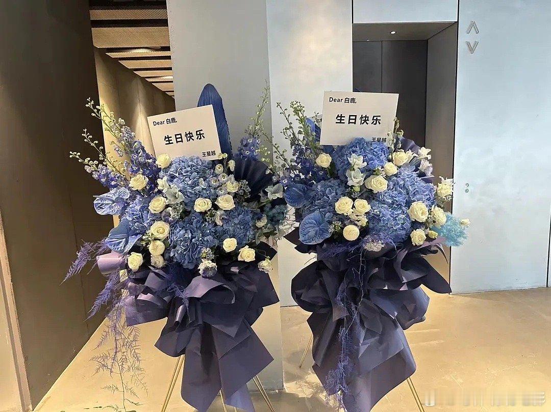 白鹿生日王星越送的花篮，直接送了一排啊 ​​​