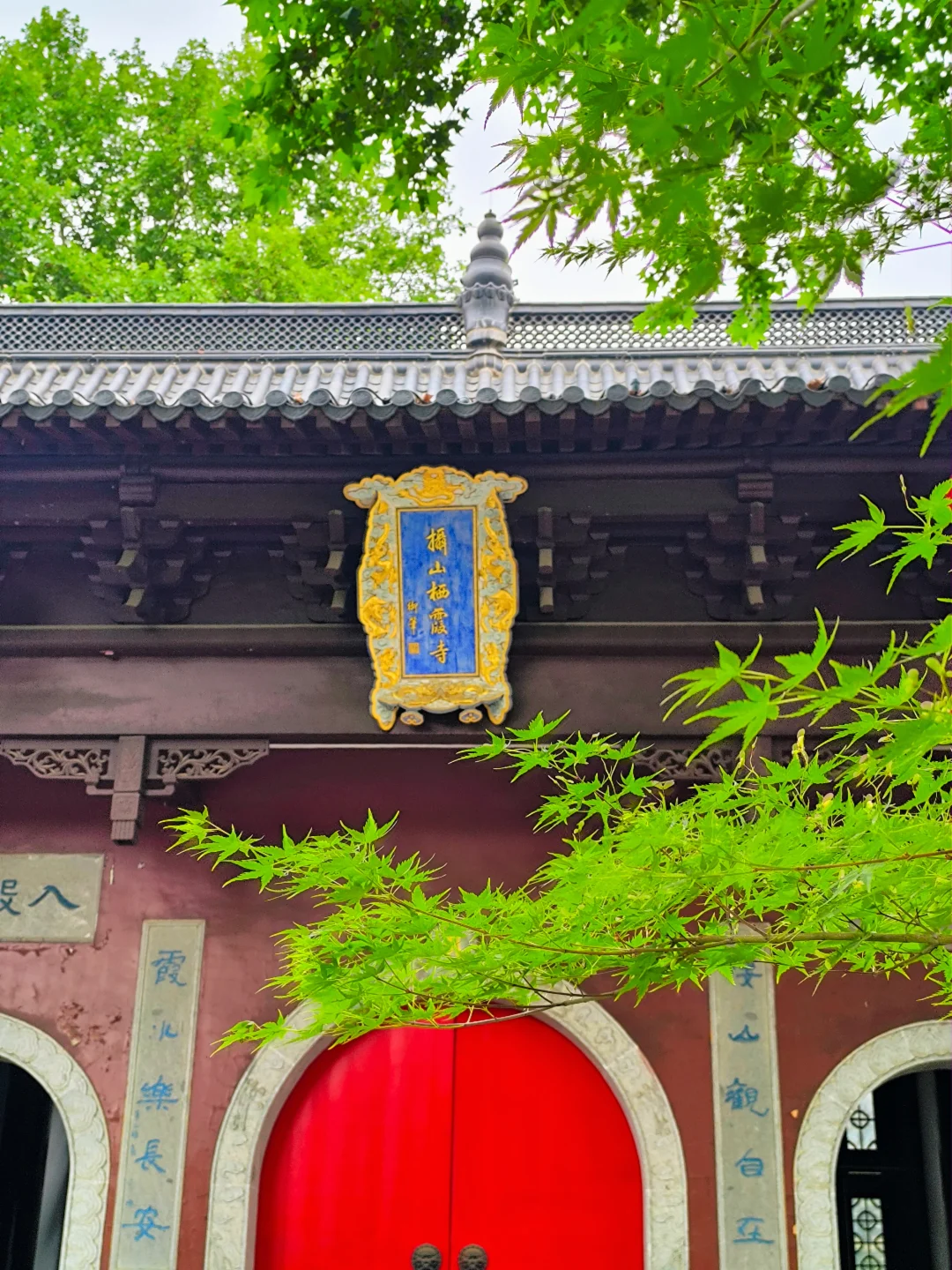 💥南京栖霞山免费开放啦！但建议你别来
