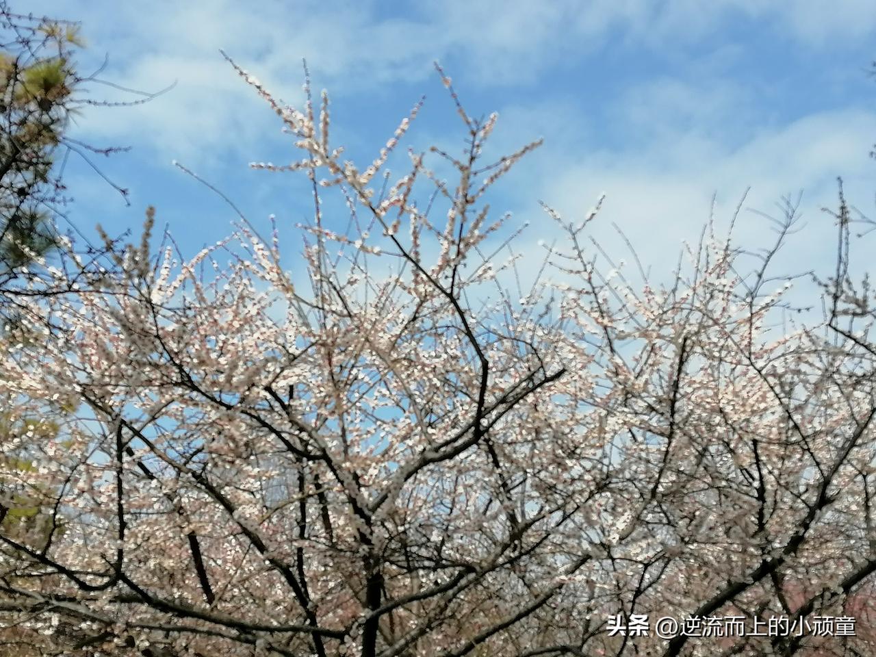 而用结果赚钱，就是不按时间计算，而是按照你创造的业绩或成果来获得更灵活、更高的奖