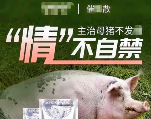 2019年小伙往饮水机投放母猪催情剂长达两年，却无一人发现，直到整个单位上至局长