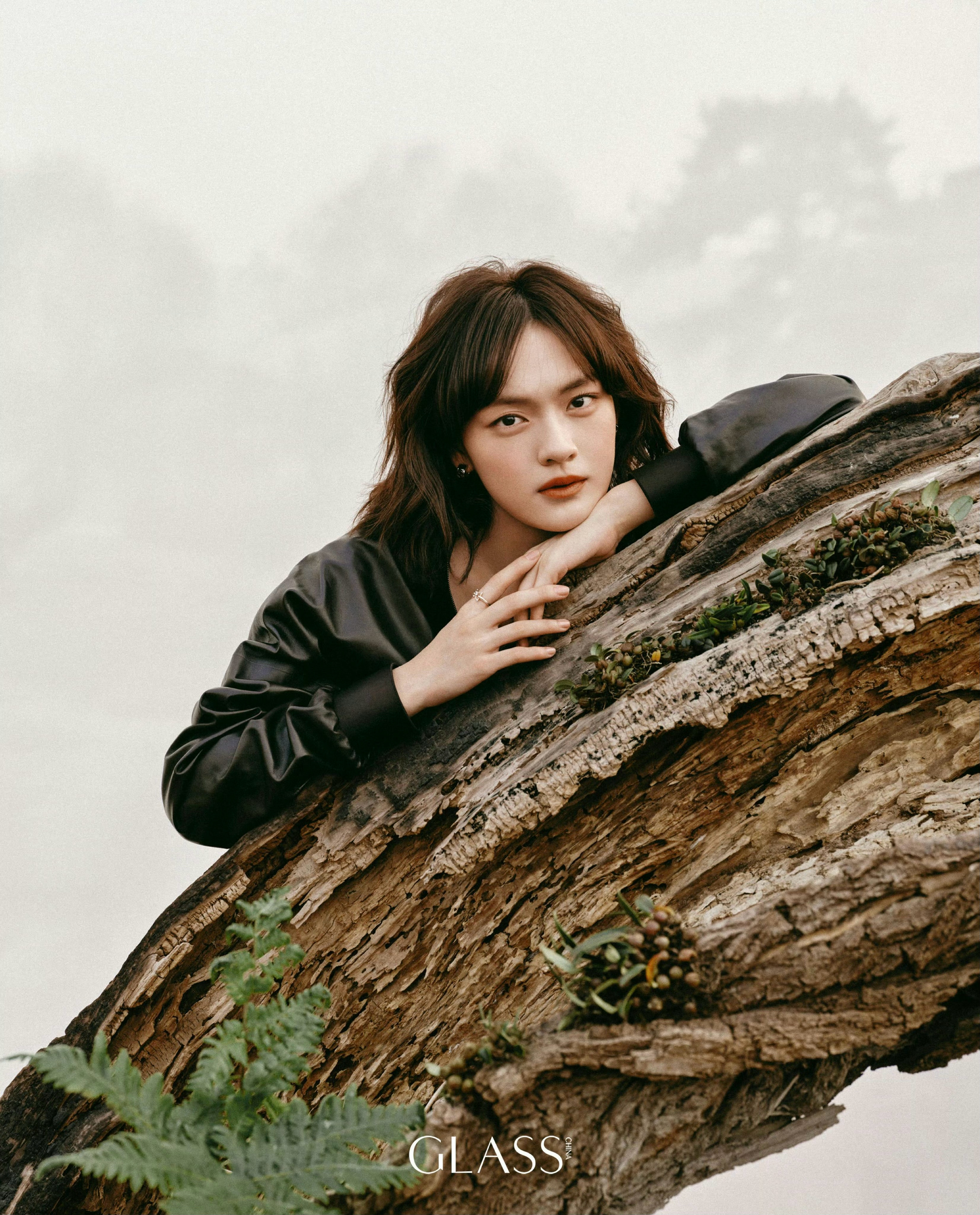 🍃⛰️*文淇 