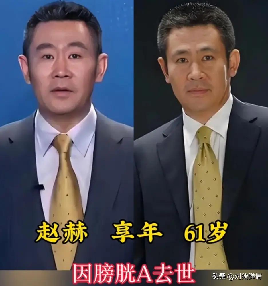 已经离世的主持人，这些主持人都是有才华的主持人。
罗京从业26年,主持了《新闻联