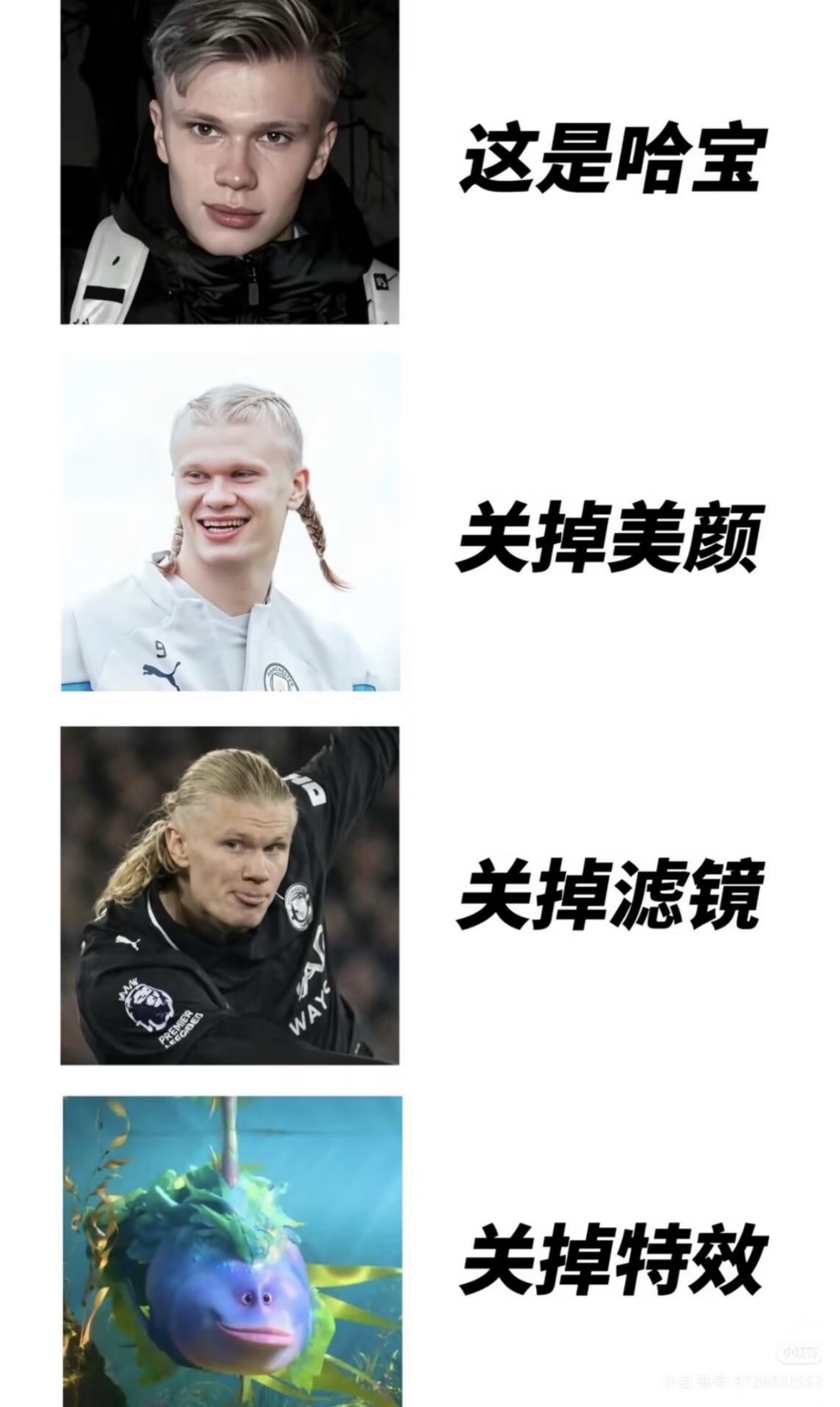 哈哈哈哈哈哈哈哈哈哈哈哈抓住了精髓