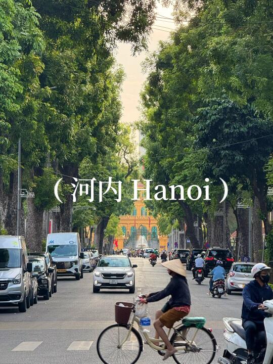 🇻🇳河内及下龙湾｜正确打开方式（好吃懒做版