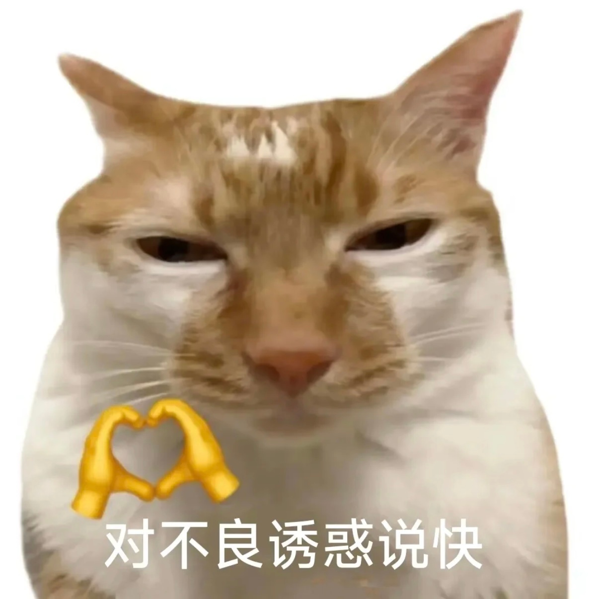 哎哟卧槽爽死我了🤤 