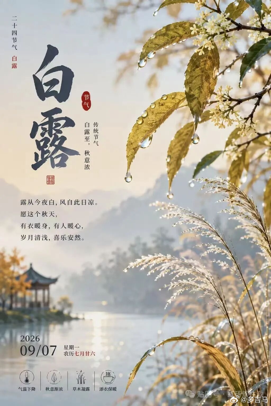 人间白露，暑气渐消，白露染秋色🍁一半诗意，一半浪漫，愿你在这微凉的时光里，添衣