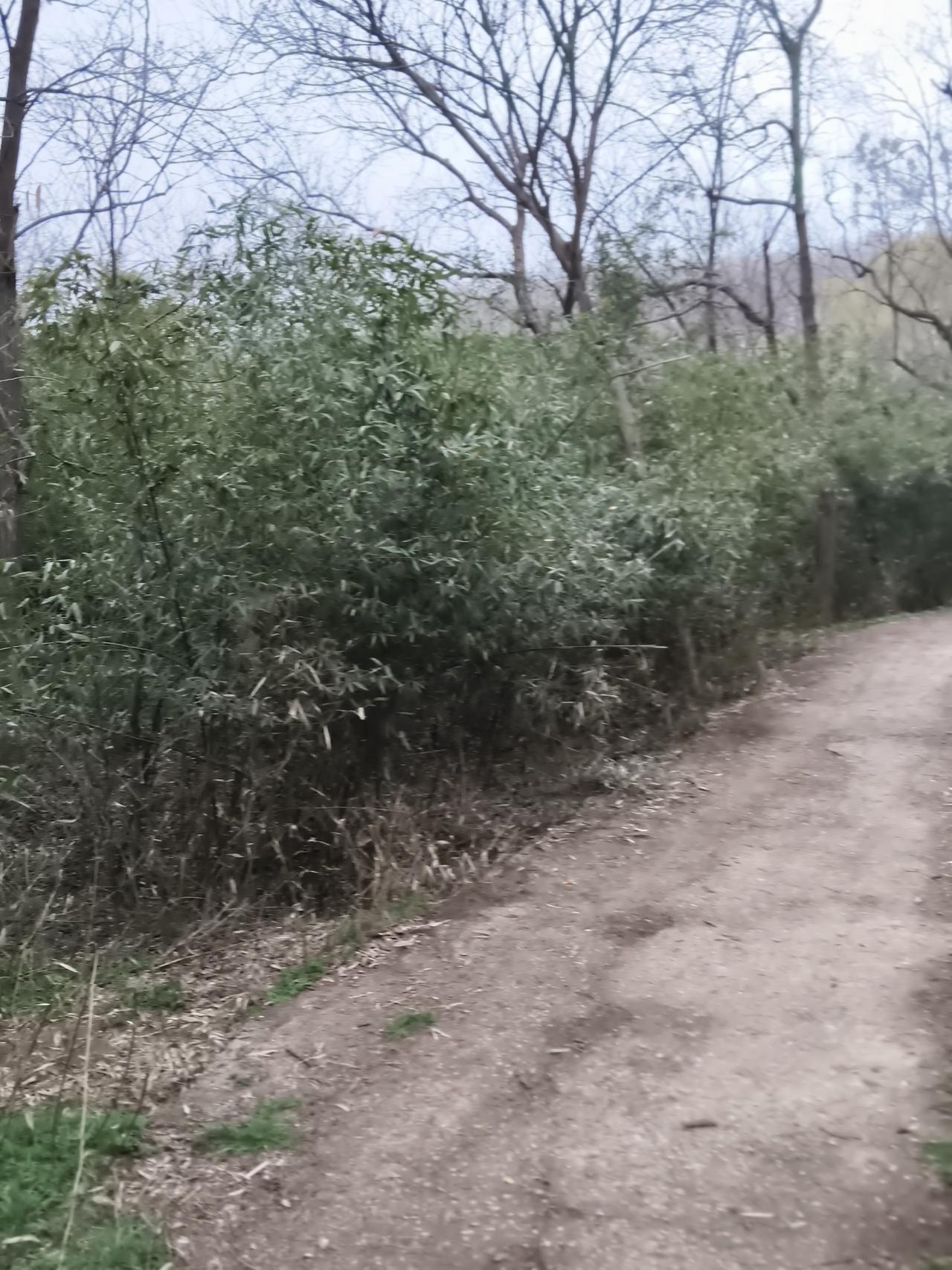 记录我的2026感觉到自己身体也是很不错的呀，可是一登山就感觉到很虚了感觉。还没