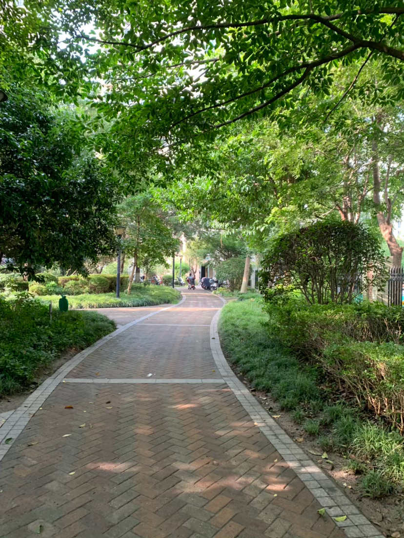给卷宝做早餐的时候，感觉好喜欢这样的早晨。虽然忙碌着却很开心和安心。卷宝七点准时