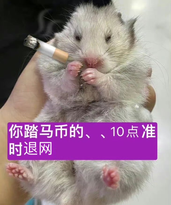 老公你给个准话等我掉橙了能把有效ss还我不 