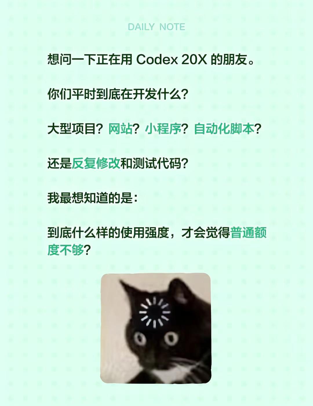 想问一下正在用 Codex 20X 的朋友。你们平时到底在开发什么？大型项目？网