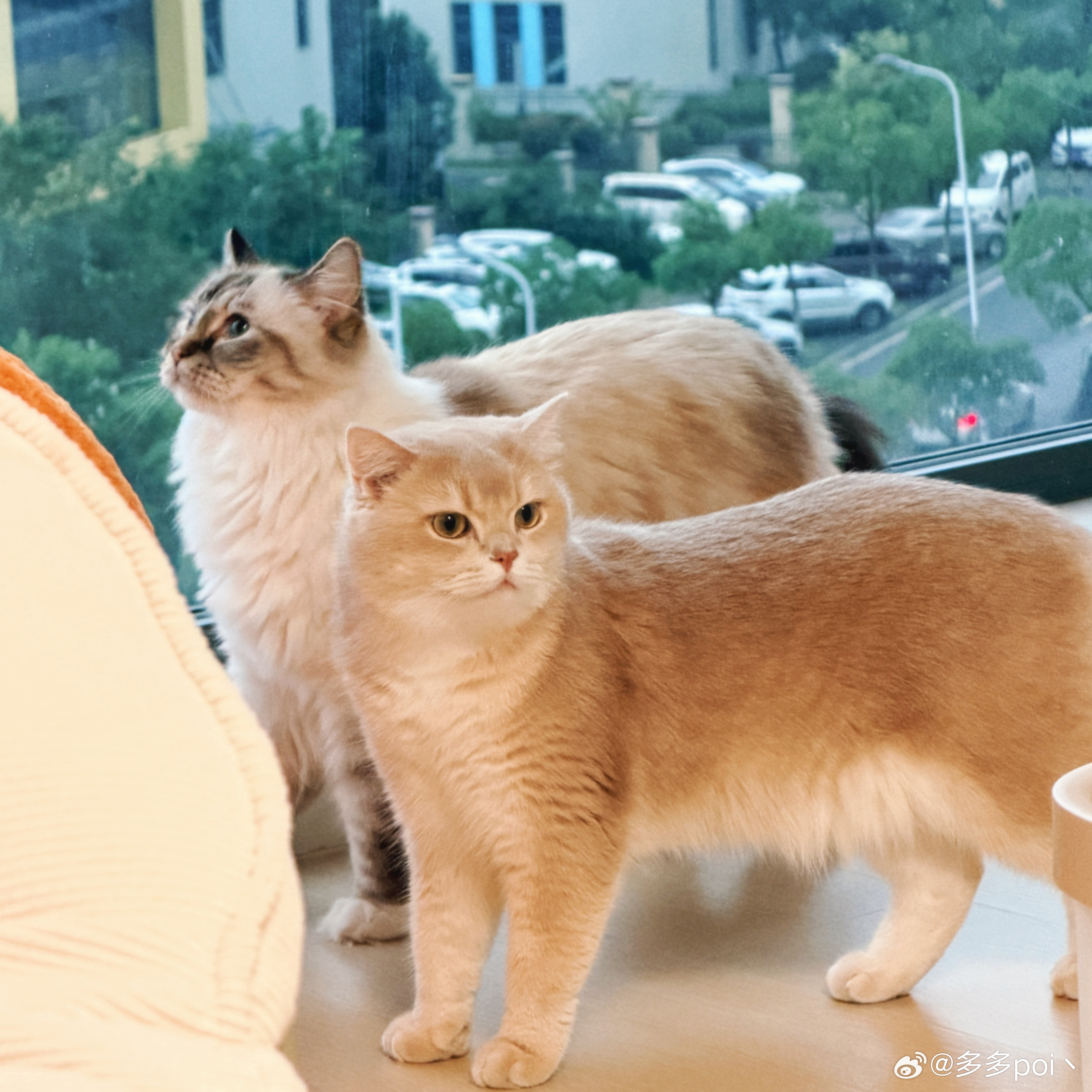 假期虽好，但使人长胖[泪]老实上班咯～ ​​​