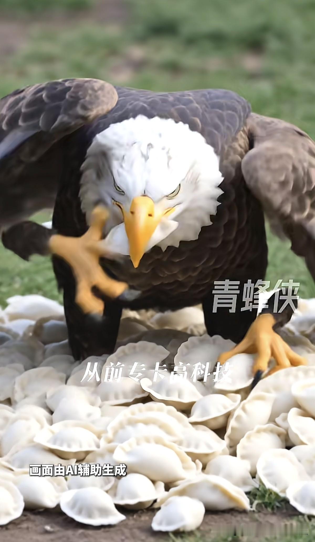 鹰酱卡完芯片和新能源电车，最近又盯上瓜子和水饺了。这瓜子和水饺，是有什么魔力吗？