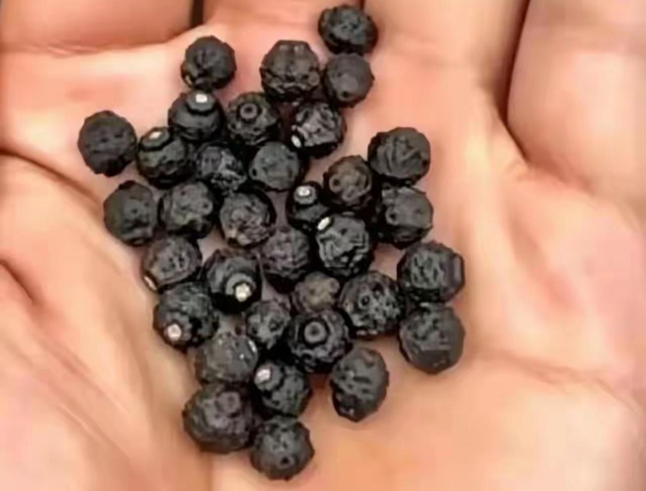 一捧黑珍珠，真可爱！还有几个人知道这是干什么的？