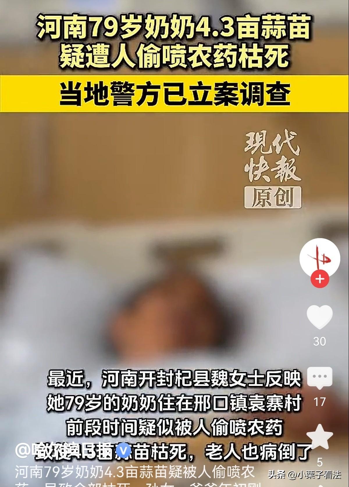 太缺德了！河南开封，79岁奶奶在老伴去世后，仍独自栽种了4.3亩蒜苗，维持生计，