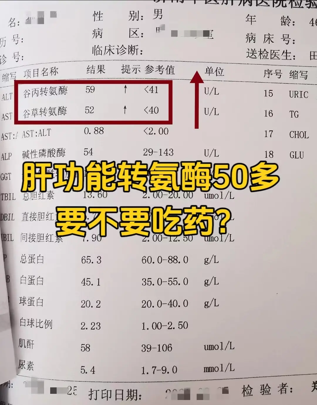 大家仔细看这个肝功能单子上的转氨酶，可以发现两项的转氨酶到了50多，整...