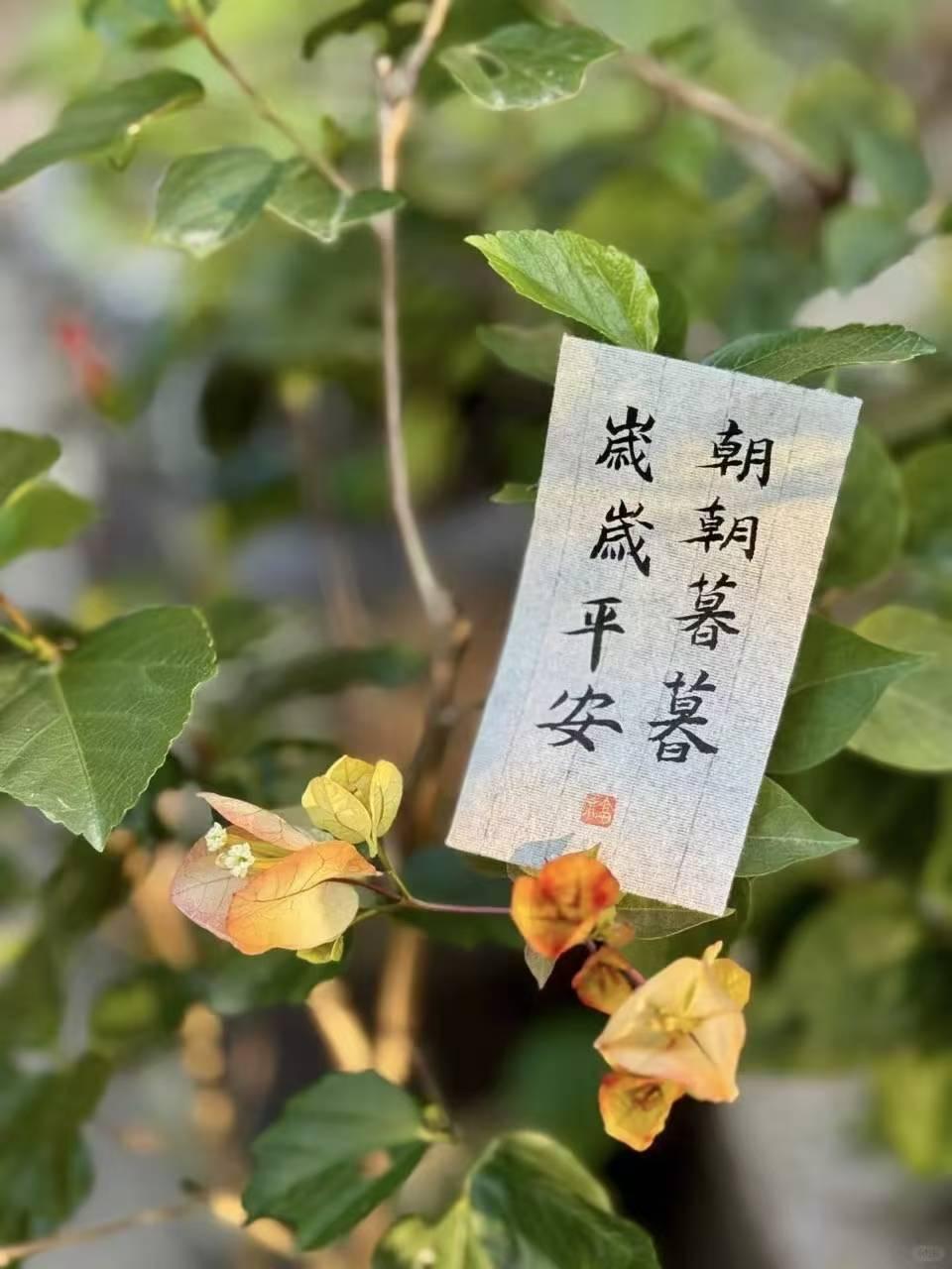 岁月静好，平安喜乐。