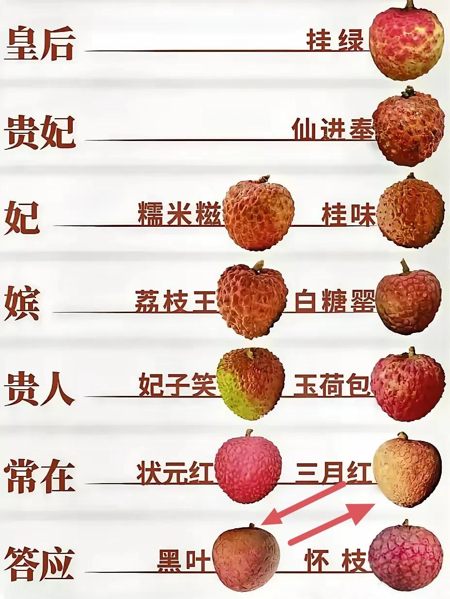 最被低估的荔枝就是黑叶，一提到黑叶荔枝，很多人都不屑一顾，其实这个荔枝除了核稍微