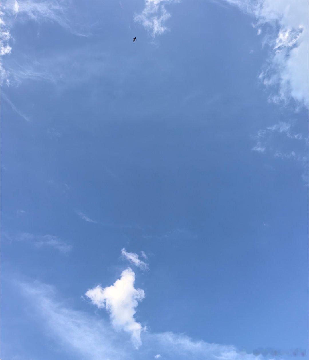家庭教育暑期打卡活动在微博过暑假 Day3放下手机多陪伴，高质量的十分钟，胜过敷
