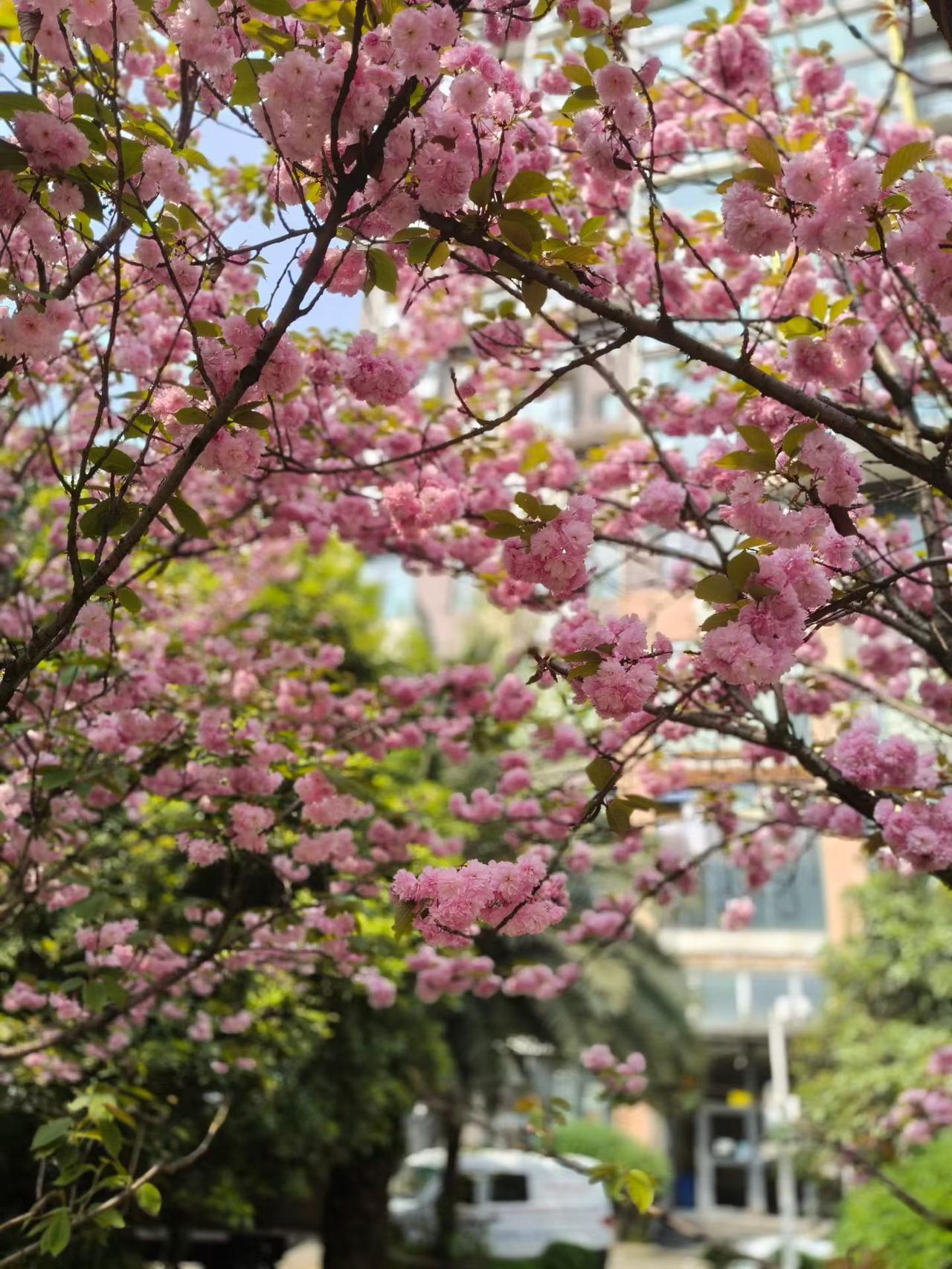 CPO现在疯涨，今天整个光通信板块都全线涨停了，也没见监管出来打压，当初商业航天