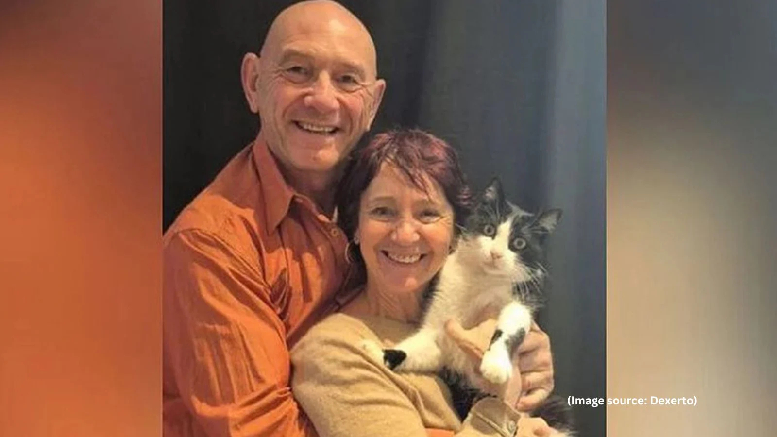 #家猫在异国流浪5个月回到家中#【一只走失近半年的法国猫，从西班牙走回老家，它如