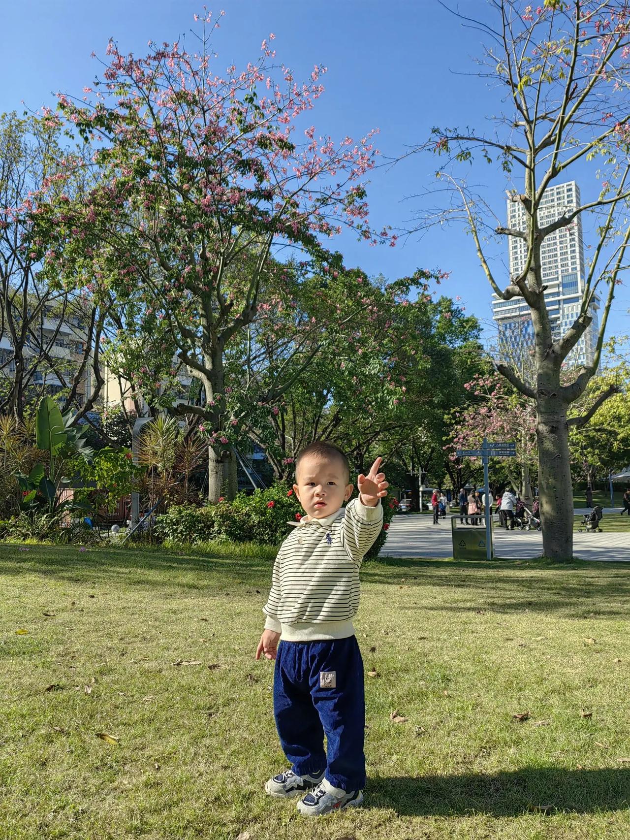 小宝贝与天空的对话
 晒图大赛 
小宝贝手指天空，
眼神满是懵懂。
那片无垠的湛