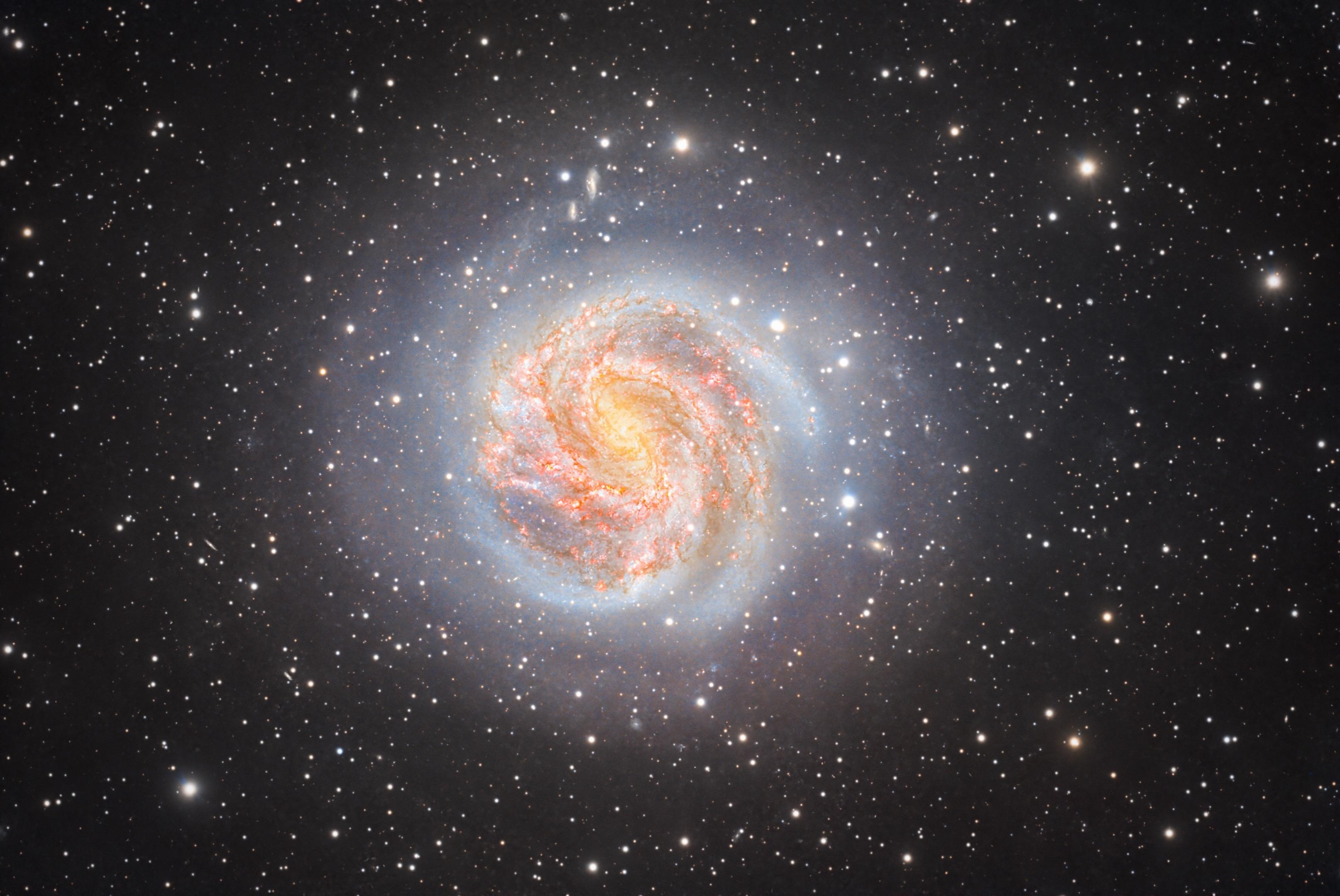 2026第一天欣赏那些让我涨粉过万的照片。2026第一天，欣赏那些让我...