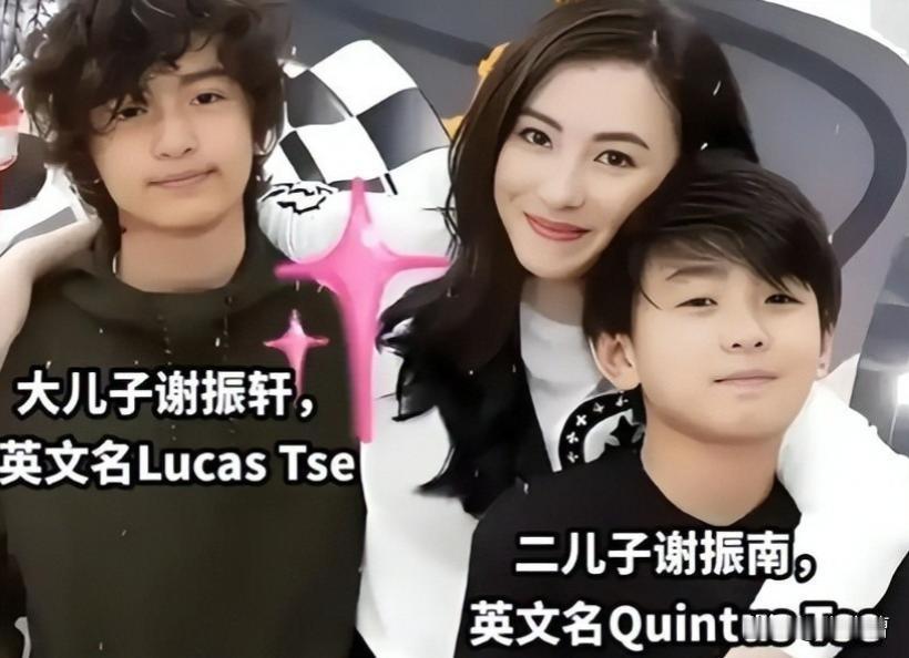 谢贤的遗嘱安排为何成了众人讨论的焦点？

谢贤遗嘱之所以成为舆论焦点，主要是因为