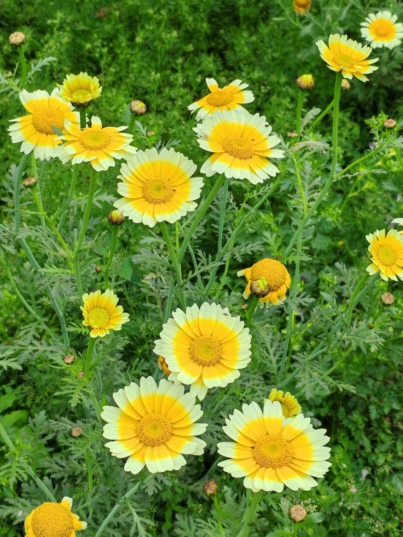 抛开迷信思想不说，这是生者对死者的很纯朴的情感表达，尤其是后辈对先人，先人生前没