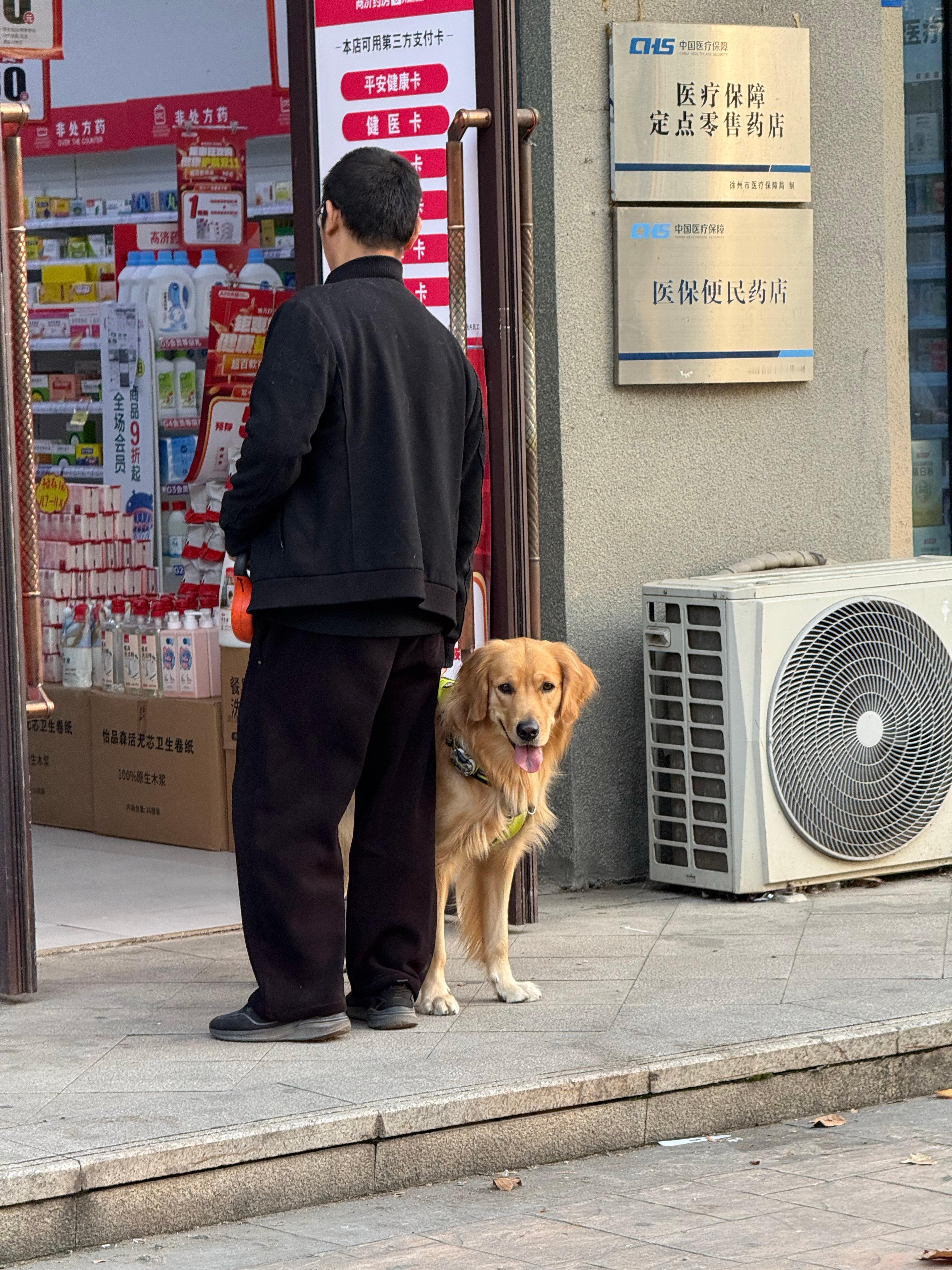 无奖竞猜 大鸡毛为什么看着我 ​​​