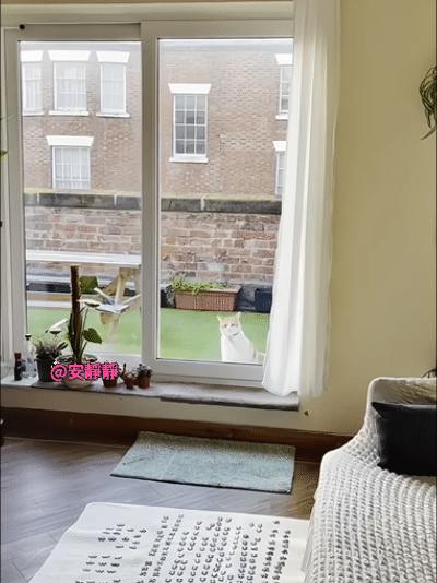 开门呀开门呀我知道你在家！