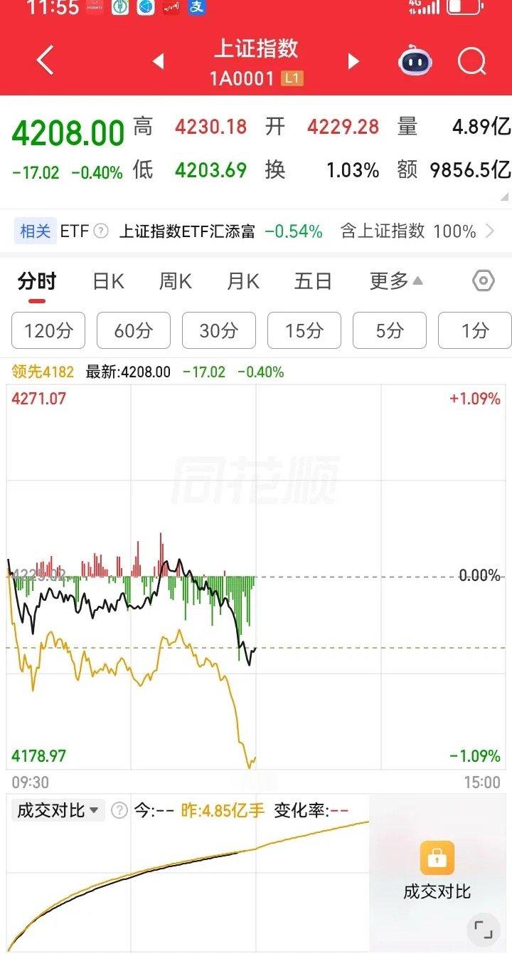 上午大盘低开低走，下跌了10多个点，但是无需恐慌，这是正常调整，大盘不可能天天涨