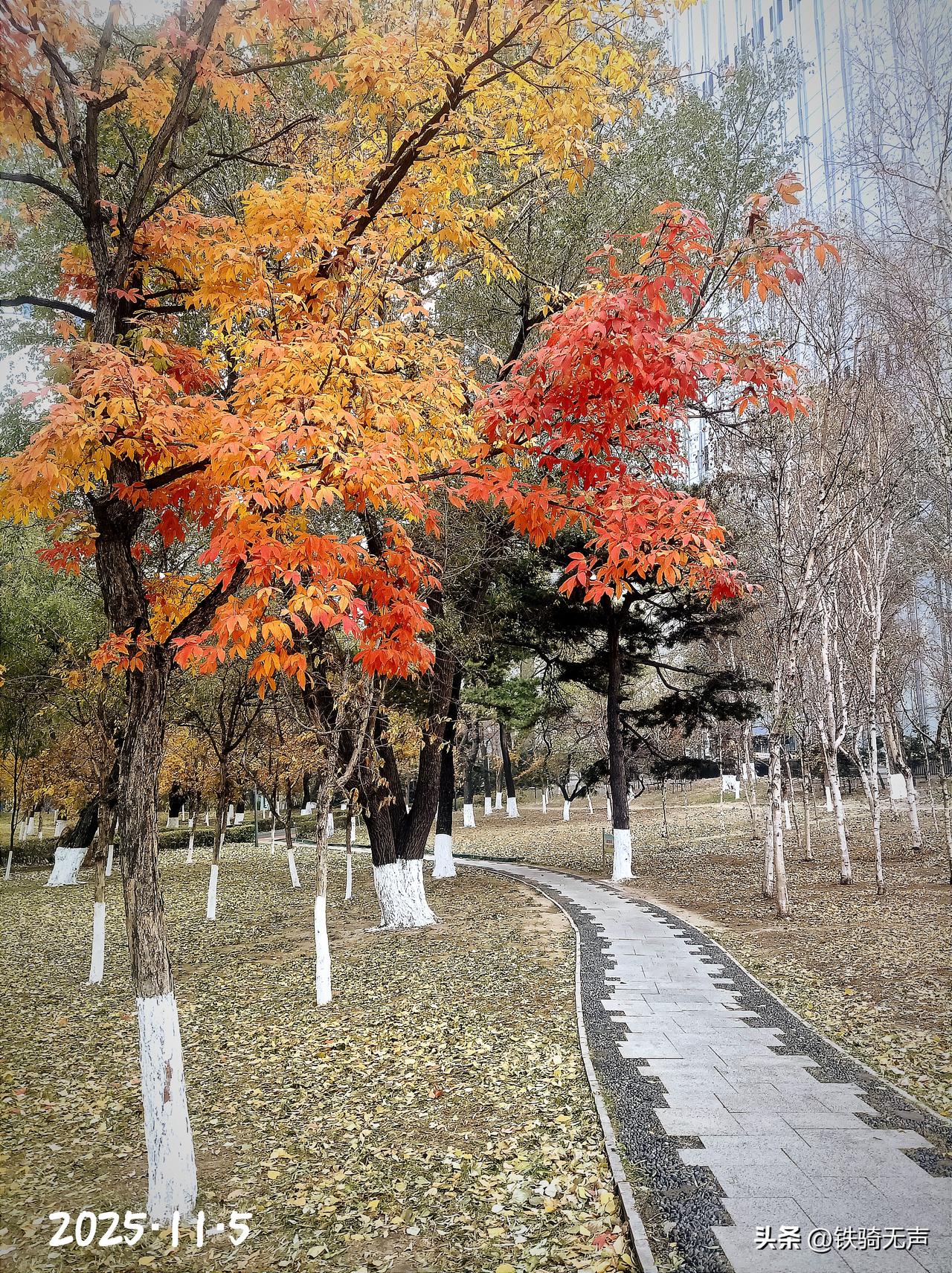 有的网友对“社保资金”的转移支付，非常不理解，提出：“为什么有的地区缴费的人员少