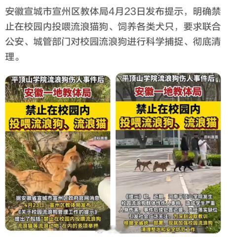 安徽宣城教体局禁止在校园内投喂流浪猫狗和饲养犬只！