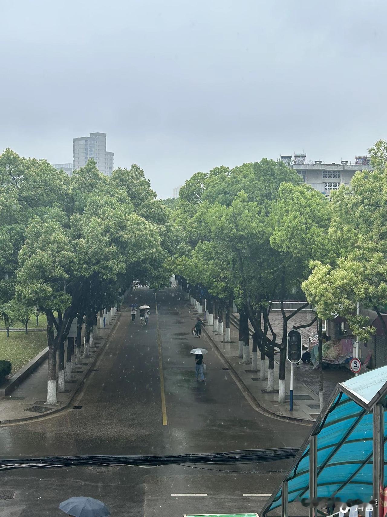 今年最舍不得删的照片，就是一条熟悉又陌生的路。
翻手机相册时，看到这张路的照片，
