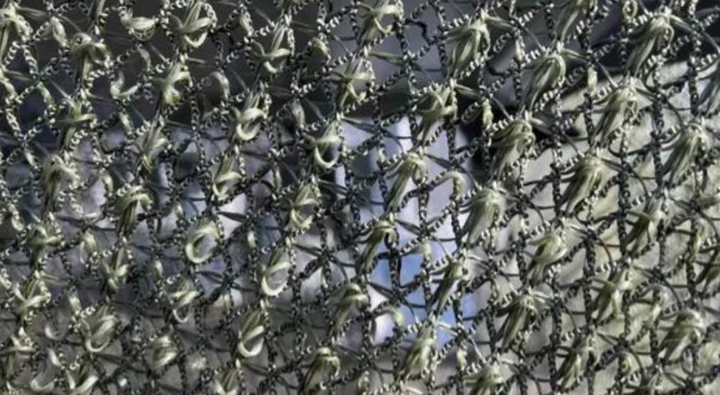 俄军一张网，把高科技打脸了
防空导弹一枚几十万美元
电子干扰动辄被跳频破解
激光