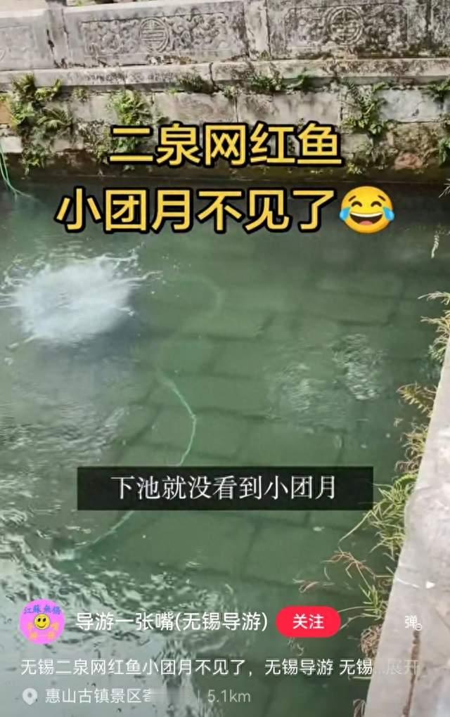 无锡知名大网红失踪！？