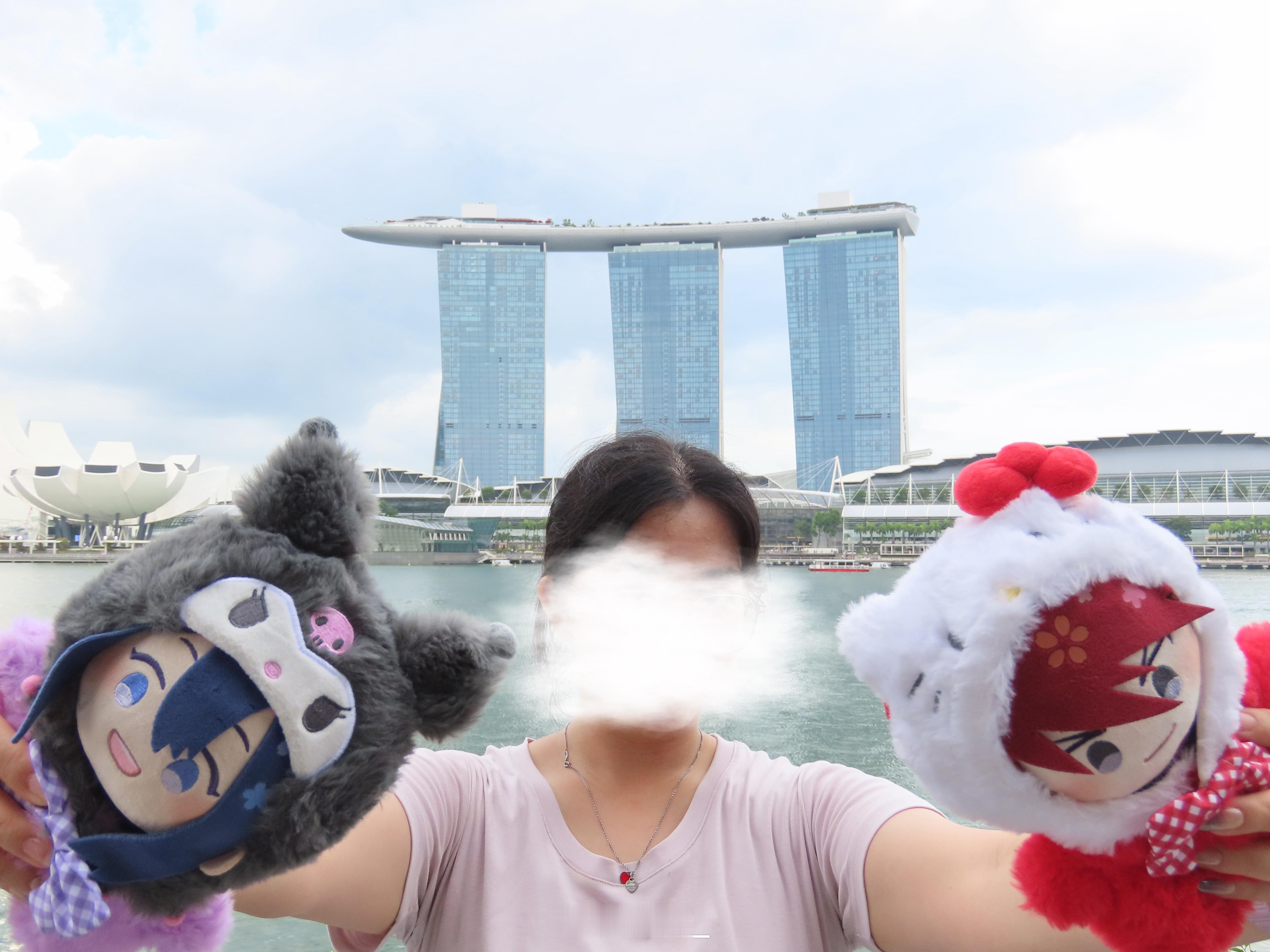 🇸🇬当游客的最后两天～ 
